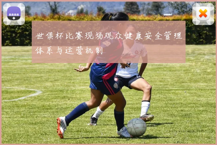 世俱杯比赛现场观众健康安全管理体系与运营机制