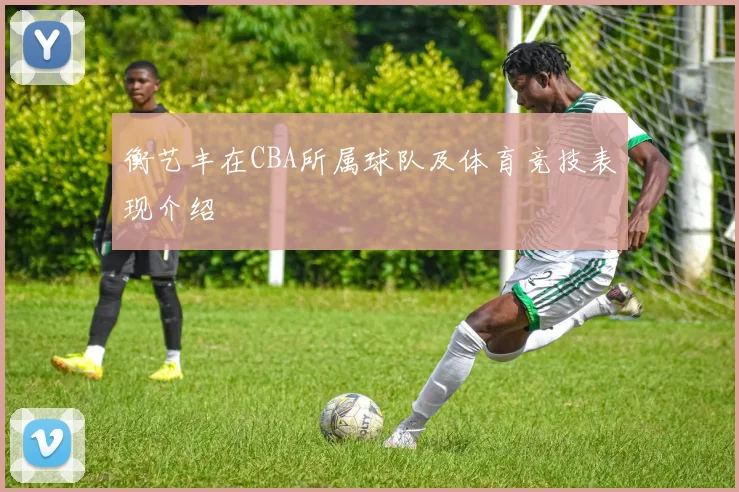 衡艺丰在CBA所属球队及体育竞技表现介绍