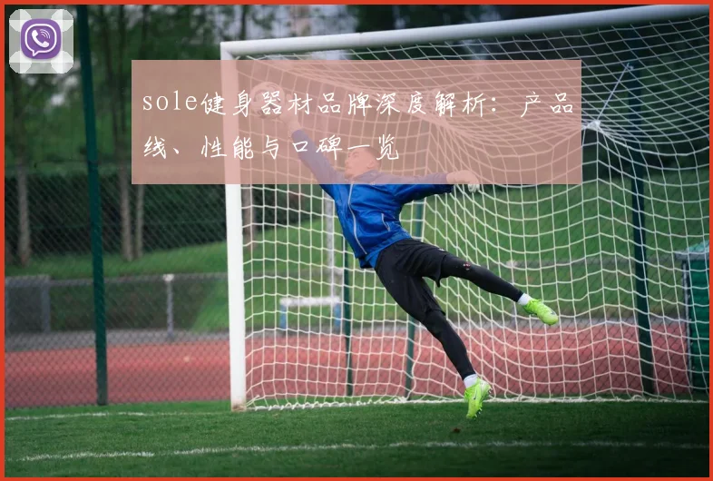 sole健身器材品牌深度解析：产品线、性能与口碑一览