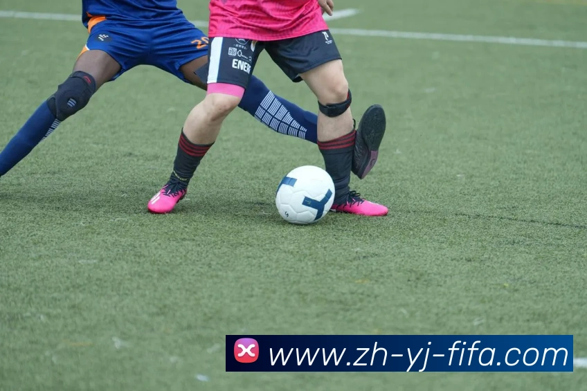 App Interface Preview