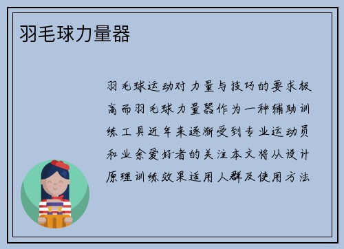 羽毛球力量器