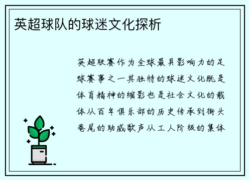 英超球队的球迷文化探析